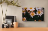 Tablou Canvas, "Strălucirea delicată a florilor de vară", Flori, Petale, Roz, Galben, Delicate, Natura, Gradina, Frumusete, Verde, Contrast., 39 x 26