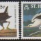 ST. HELENE - 1985 - PASARI - Audubon