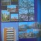 HOPCT LOT 4139 - 4 CARTI POSTALE-SLATINA-JUD OLT -CIRCULATE