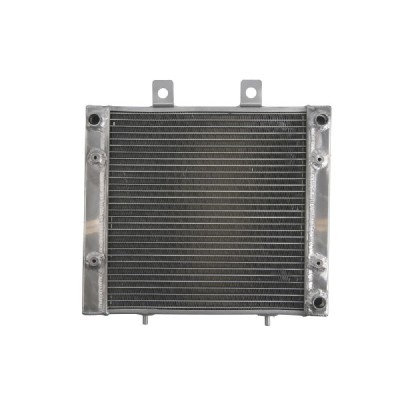 RADIATOR POLARIS SPORTSMAN 400 570 2004 2018 foto