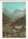 RF196 - Carte Postala - Muntii Fagaras. Cabana Sambata, circulata 1965