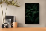 Tablou Canvas, "Frunziș de ferigă &icirc;n pădurea misterioasă", Frunze, &Icirc;ntunecat, Verde, Vegetație, Pădure, Mister, Frunziș, Umbre, Textură, Natural, Frum