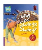 Why Do Swings Swing? Level 4 Factbook Paperback Peter Rees Carti Engleza Non-fiction Science Readers