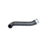 Furtun aer supraalimentare Audi A3 (8l1); Vw Bora (1j2), Golf 4 (1j1); Seat Leon (1m1), Toledo 2 (1m2); Skoda Octavia (1u2), Bugiad 82649