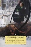 Cumpara ieftin In asteptarea fericirii. Noua povestiri despre viata si moarte/Andrei Platonov