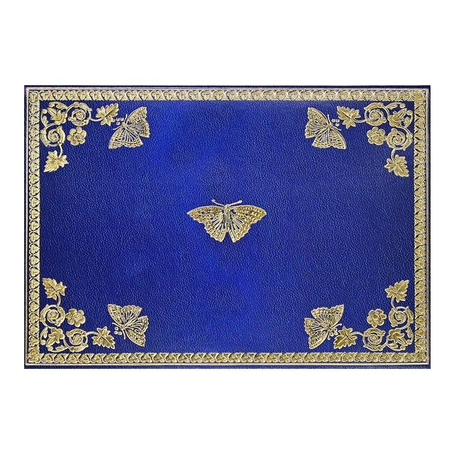 Gilded Butterflies Note Cards