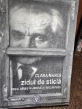 Zidul de sticla - Ion D. Sirbu in arhivele securitatii - Clara Mares, Curtea Veche, 2011, Istorie, biografie