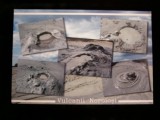 QW27 V - Carte postala - tematica turism vedere - Romania - Vulcanii noroiosi 2, Necirculata, Printata, Buzau