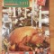 Revista Bucataria pentru toti Nr. 12 (56) Decembrie 2006