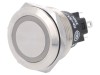 Comutator Anti-Vandalism SPDT 12V 3A/240V