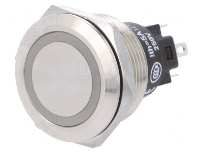 Comutator Anti-Vandalism SPDT 12V 3A/240V foto