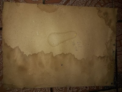 REPRODUCERE-pictura celebra cu femeie NUD,pictura veche de colectie,T.GRATUIT foto