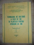 Tehnologia de cultura a vitei de vie in plantatii pentru struguri de vin