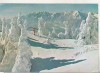 Cartofilie Predeal: Vedere Bucegi, Necirculata, Marca Fixa, Transilvania, Carte Postala Romania dupa 1918