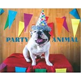 Party Animal (Dog) Carte - Fotografii si Citate Amuzante Despre Caini - Literatura pentru Copii in Engleza