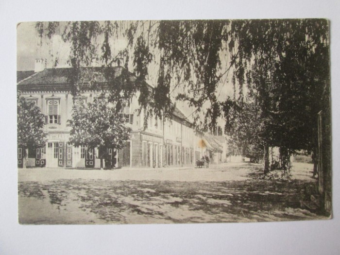 Rară! Sebeșul Săsesc/Alba-Strada Mihai Viteazul,magazine,carte postala 1925