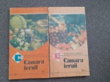 Natalia Tautu Stanescu - Camara iernii (2 volume)