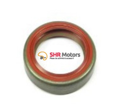 Simering ambielaj 25x35x7 KTM foto