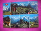 HOPCT 20046 BERNER / OBERLAND -ELVETIA -CIRCULATA