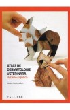 Atlas de dermatologie veterinara la caine si pisica - Gustavo Machicote Goth