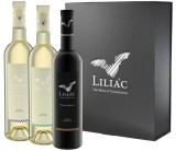 Pachet Feteasca Liliac - 3 soiuri | Liliac