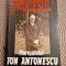 Procesul maresalului Ion Antonescu Ioan Dan