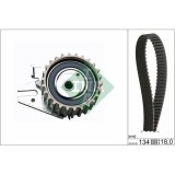 Kit distributie Ina 530022110