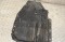 icon 5