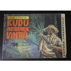 Ilie C&acirc;rciu - Kudu &icirc;ntreabă v&acirc;ntul - ilustrații de Sorin Obreja - 1969