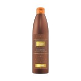 Argan Professional Repair - Sampon pentru Par deteriorat, 500 ml