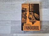 Pandurul de Bucura Dumbrava