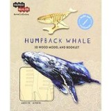 Humpback Whale