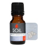 Ulei Esential Menta Creata Pur 100% Organic, 10ml, Soil