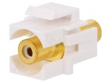 Adaptor Keystone Mamă Dublu Aurit Alb, Logilink