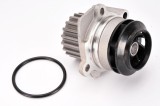 Pompa apa VW GOLF PLUS (5M1, 521) (2005 - 2013) THERMOTEC D1W049TT