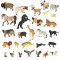 Set 28 figurine animale din zoo cu cutie de depozitare, multicolor