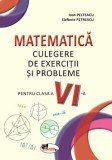 Matematica. Culegere de exercitii si probleme pentru clasa a VI-a, Aramis