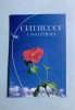 Calendar 2004 flori Creditcoop