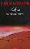 Kafka pe malul marii Haruki Murakami carte beletristica brosata editura Polirom 2006 6 534 pagini