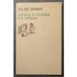 Hilde Domin - Numai o floare ca sprijin (1978)