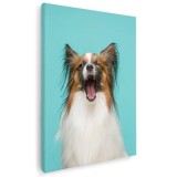 Tablou caine rasa Papillon cascand Tablou canvas pe panza CU RAMA 60x90 cm