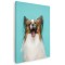 Tablou caine rasa Papillon cascand Tablou canvas pe panza CU RAMA 60x80 cm