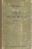 Nedeia din Poiana Miresei - Nicolae Deleanu