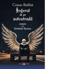 Ingerul de pe autostrada, editia a II-a - Cristian Badilita