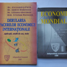 DERULAREA AFACERILOR ECONOMICE INTERNAȚIONALE. APLICATII... + ECONOMIE MONDIALA