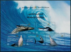 OMAN 2020 FAUNA MARINA BALENE SI DELFINI foto