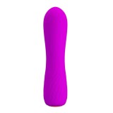 Cumpara ieftin Vibrator Beau