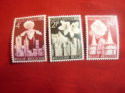 Serie Flori si Cladiri Belgia 1955 , 3 valori foto