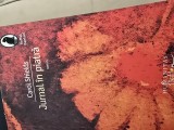 JURNAL IN PIATRA -CAROL SHIELDS