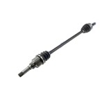 Punte Peugeot 207 (Wa, Wc), 02.2006-, 208, 03.2012-, parte montare dreapta, EAI